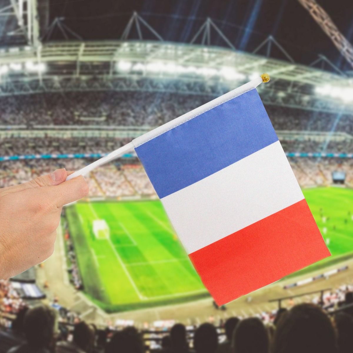 Petit drapeau français, drapeau france 20*14 cm (lot de 5) - Cdiscount  Maison